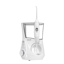 Waterpik Aquarius Professional