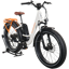 Rad Power RadRover 3