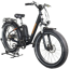 Rad Power RadRover 1