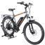 Rad Power RadCity