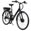 Basis  Hybrid