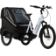 Cube Trike Family Hybrid