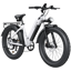 CYCROWN CycVerve