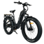 Dirwin Pioneer 2