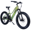 Dirwin Pioneer Lite