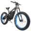 Ecotric Bison