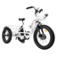 Ecotric Electric Tricycle