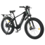 Ecotric Explorer
