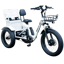 Emojo Bison Pro Urban Cruiser