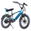 Huffy eThunder