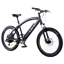Life EV Phantom XR