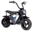 MotoTec 24v 250w