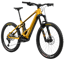 Orbea Wild H10