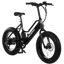 Pedego Element