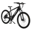 Pedego Ridge Rider