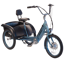 Pedego Trike