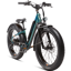 Rad Power RadRover 6 Plus