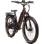 Rad Power Radster Trail
