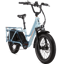 Rad Power RadWagon 5