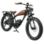 REVIBIKES Cheetah Pro