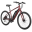 Schwinn Regent