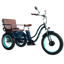 Sixthreezero EVRYjourney Rickshaw
