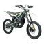 SURRON Ultra Bee 2024