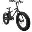 Swagtron EB6