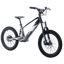 Voltaic 20'' Flying Fox