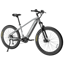YOUNG ELECTRIC E-DualRide