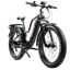 YOUNG ELECTRIC E-Explorer