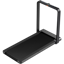 WalkingPad X21