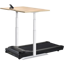 LifeSpan TR1000-Power