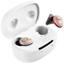 Ceretone Torch