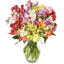BloomsyBox