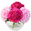 Flowers & Plants Co.