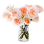 Grace Rose Farm