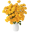 POMP Flowers