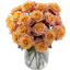 Rose Farmers
