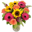 Sarah's Flowers