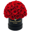 The Million Roses