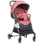 Chipolino Clarice