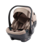 egg Shell
