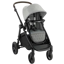 Graco Premier Modes Nest2Grow