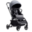 Hamilton T1