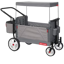 Radio Flyer Odyssey