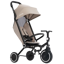 SmarTrike Wonder Max