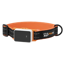 Pawfit Smart Collar