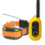 Dogtra Pathfinder 2