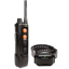 Dogtra Edge RT